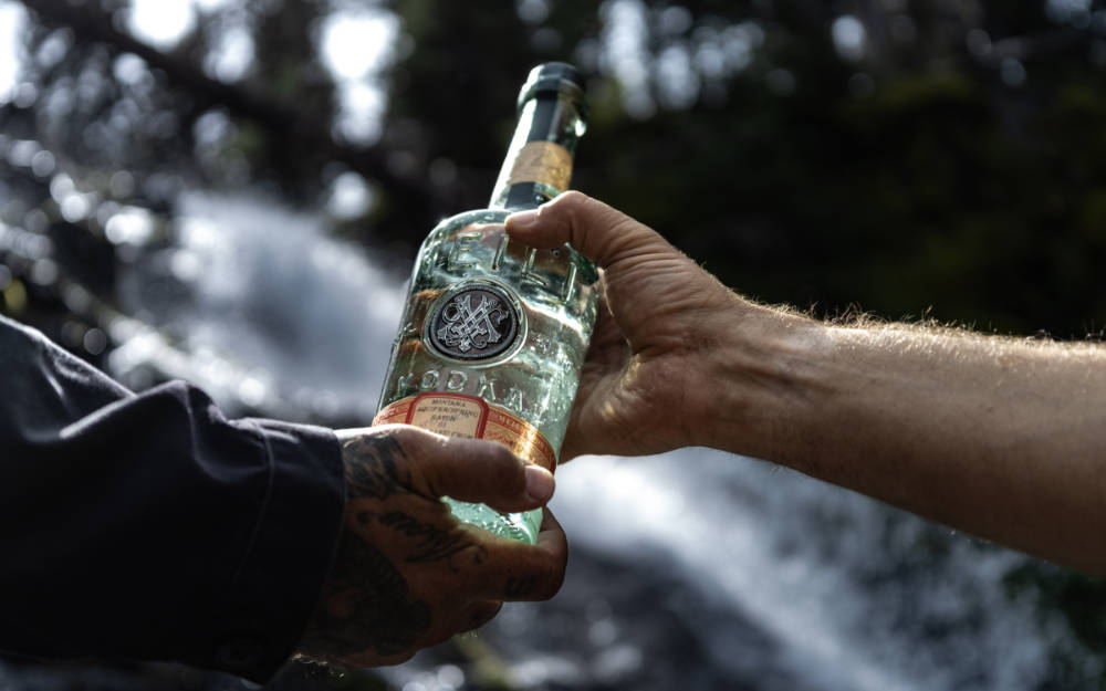 Premium Vodka entdecken