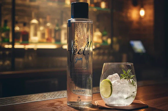 Gin kaufen – die besten Stile & Tipps für Genießer