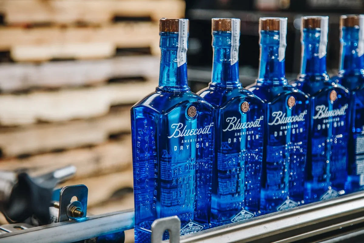 Bluecoat American Dry Gin – Handwerkskunst aus Philadelphia