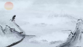 Dragon & Jade Chinese Baijiu 0,5l - 0