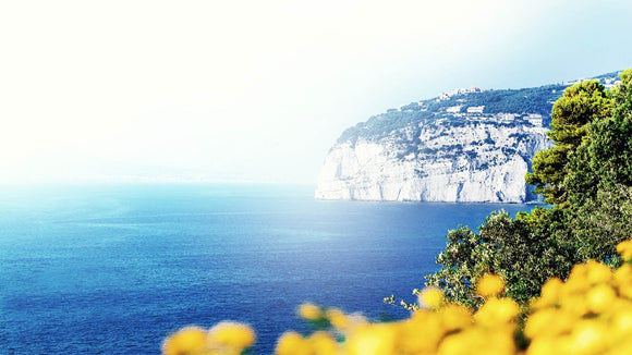 Limoncetta di Sorrento Amalfi Küste mit Zitronen - Spirituosen von SPRITHÖKER